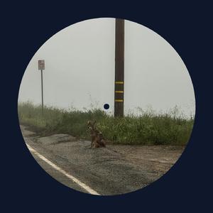 杨幂A片一二三区视频
